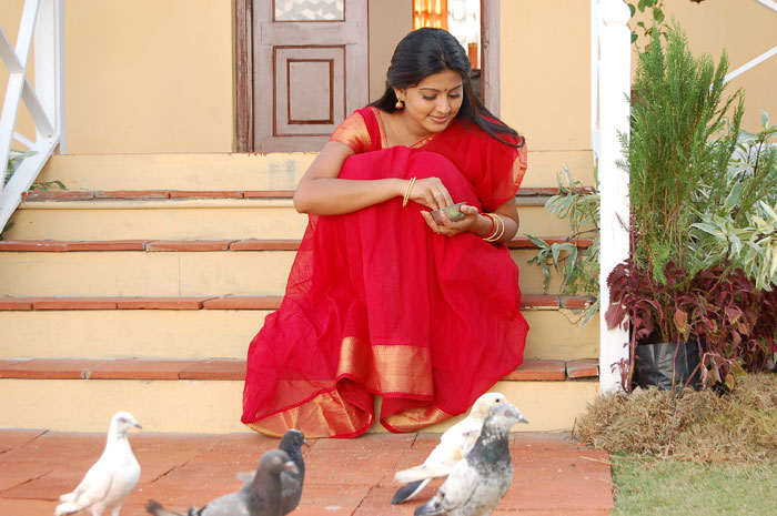 Sneha tamil actress in red saree Indian girl