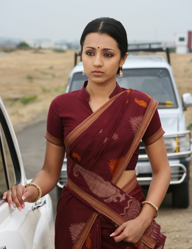 trisha krishnan standing on the road in saree