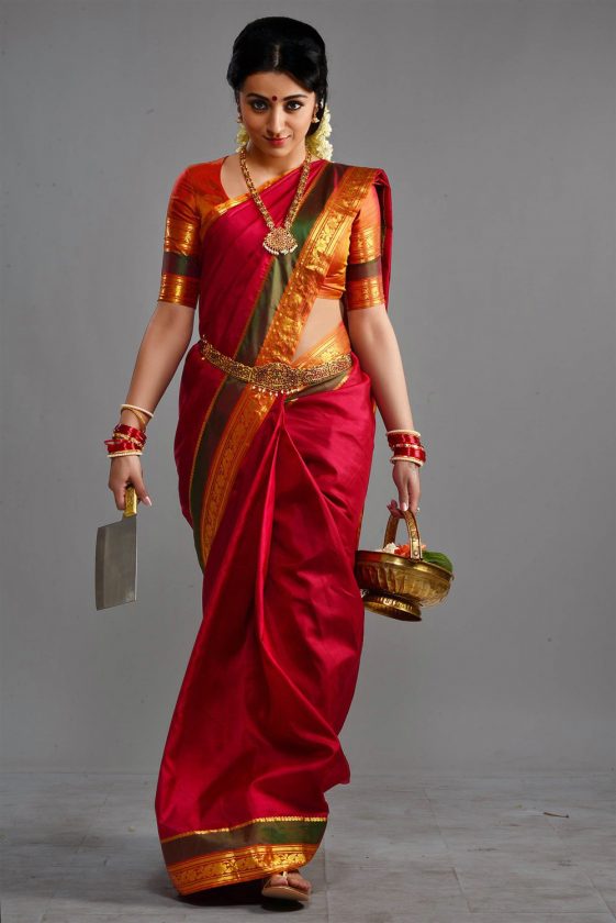 indian actress in traditional saree