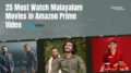 Best Malayalam Movies in Amazon prime Plumeria Movies